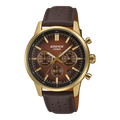 Casio EDIFICE EFR-575CL-5AEF