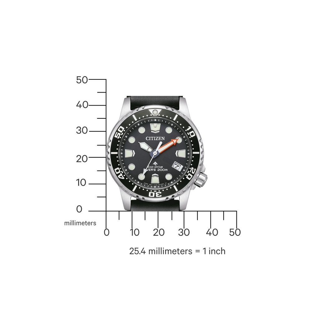 citizen-eo2020-08e