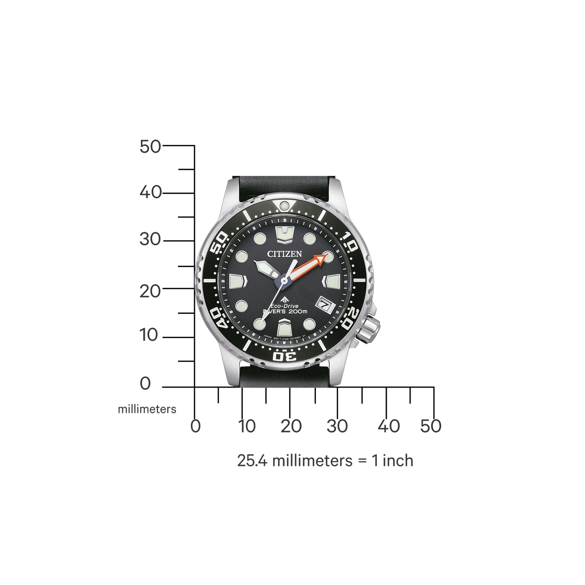 citizen-eo2020-08e