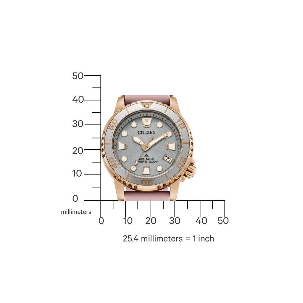 citizen-eo2023-00a