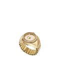 Fossil Watch Ring ES5319