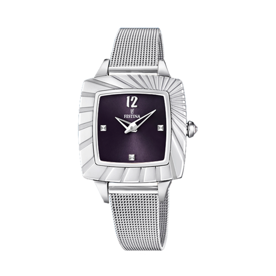 Festina F16650/C
