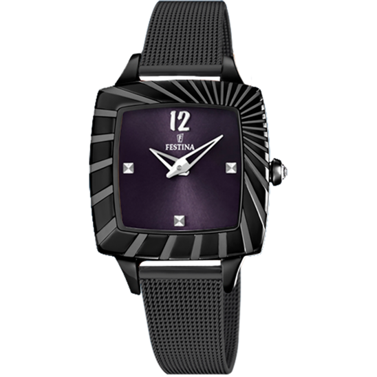 Festina F16651/C