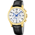 Festina Swiss Made Special Editions F20099/1S
