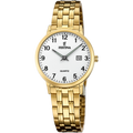 Festina Acero Clasico F20514/1