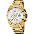 Festina Timeless Chronograph F20541/1