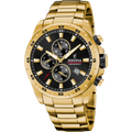 Festina Timeless Chronograph F20541/4