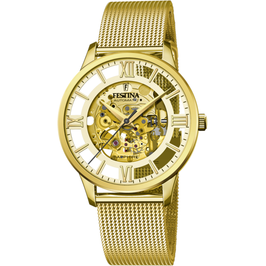 Festina Automatico F20667/1