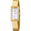 Festina Novedades F20805/1