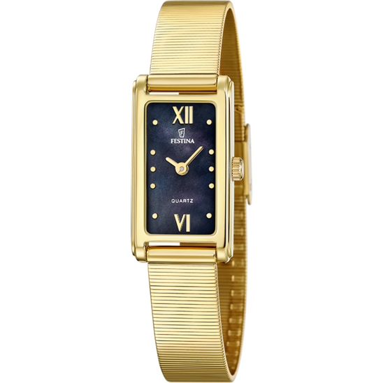 Festina Novedades F20805/2