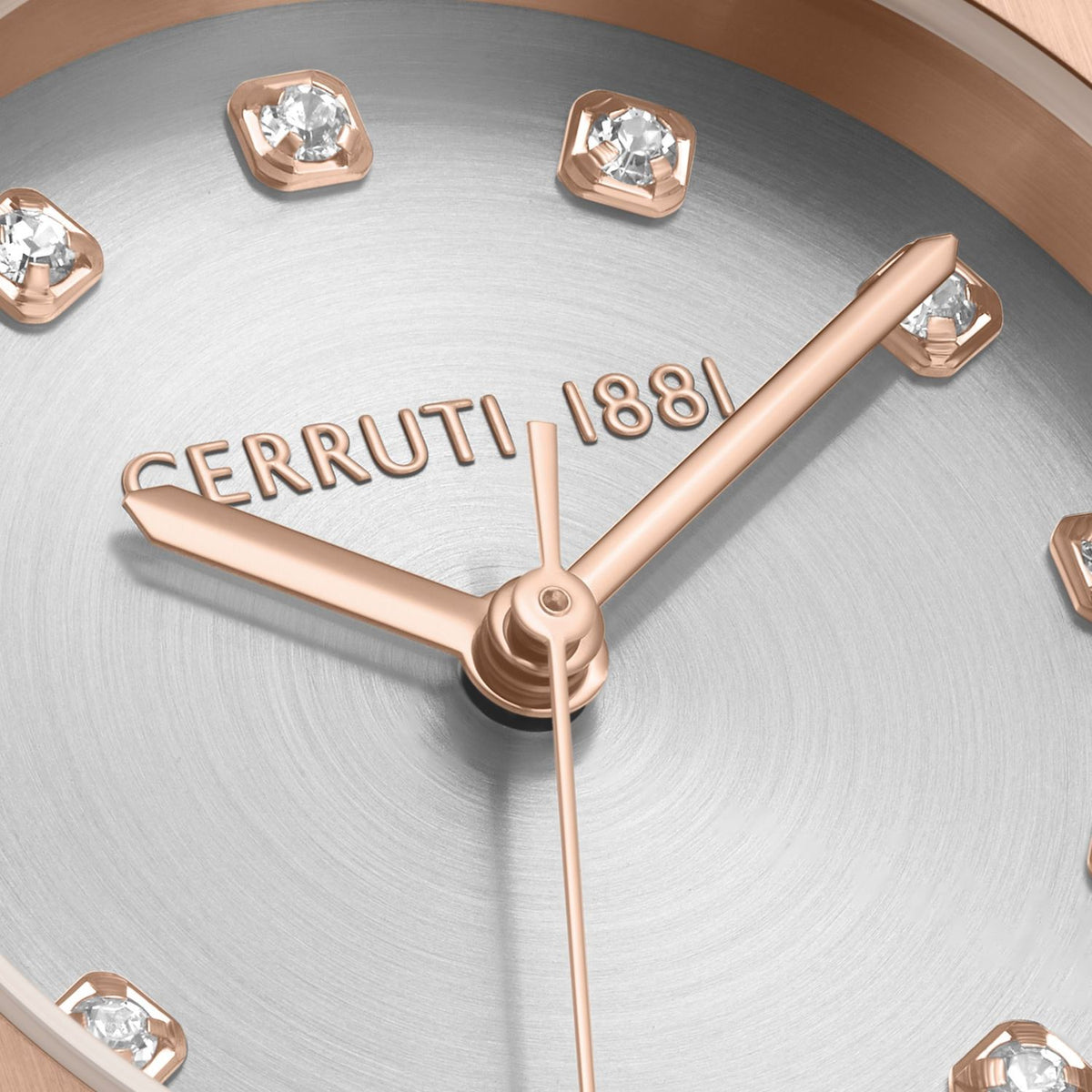 Cerruti 1881 Lucardo GCEM176518
