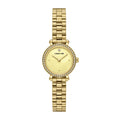 Cerruti 1881 Itri GCEM214456