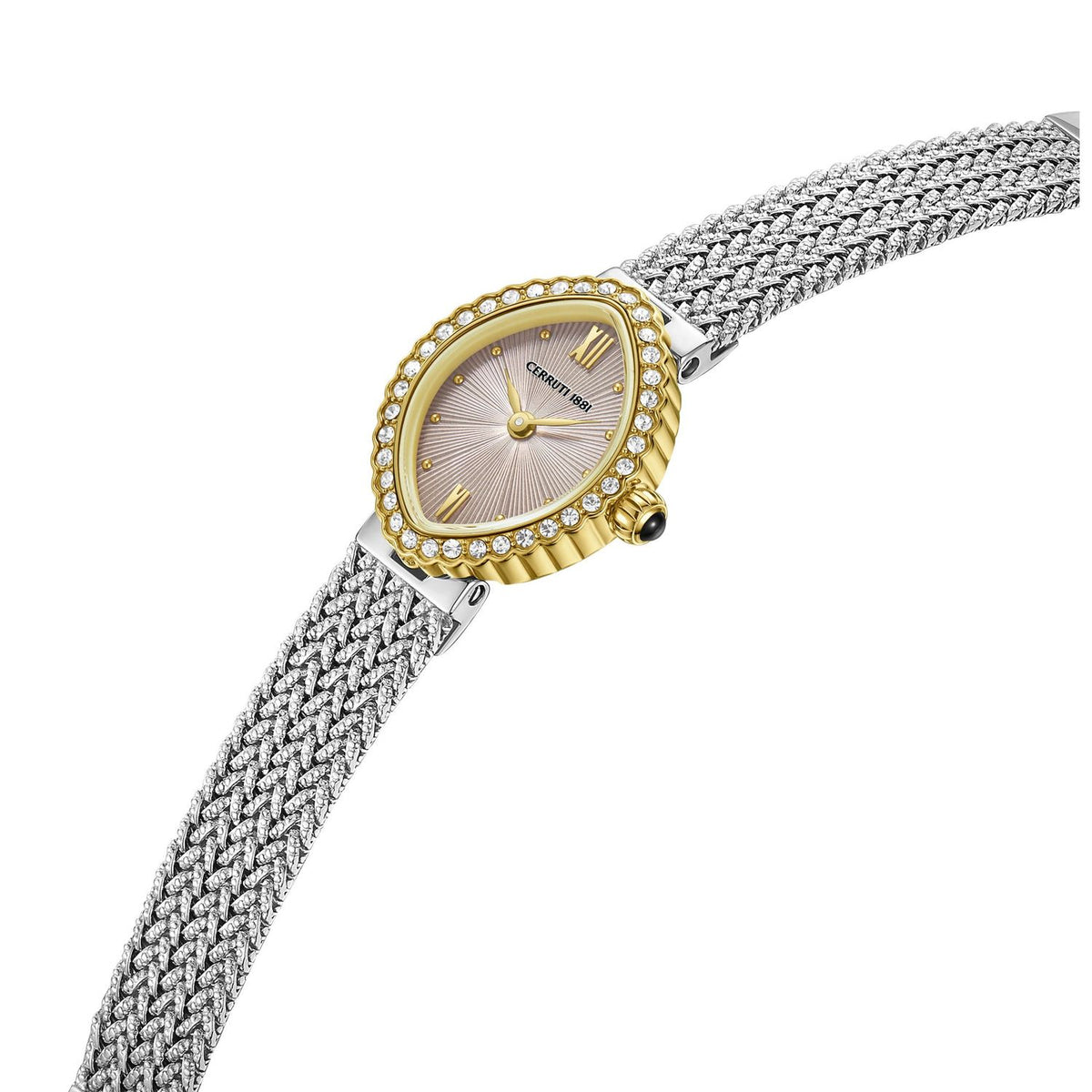 Cerruti 1881 Terni GCEM214487