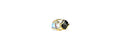 Andrea Marazzini New Collection Bague SOCRDC