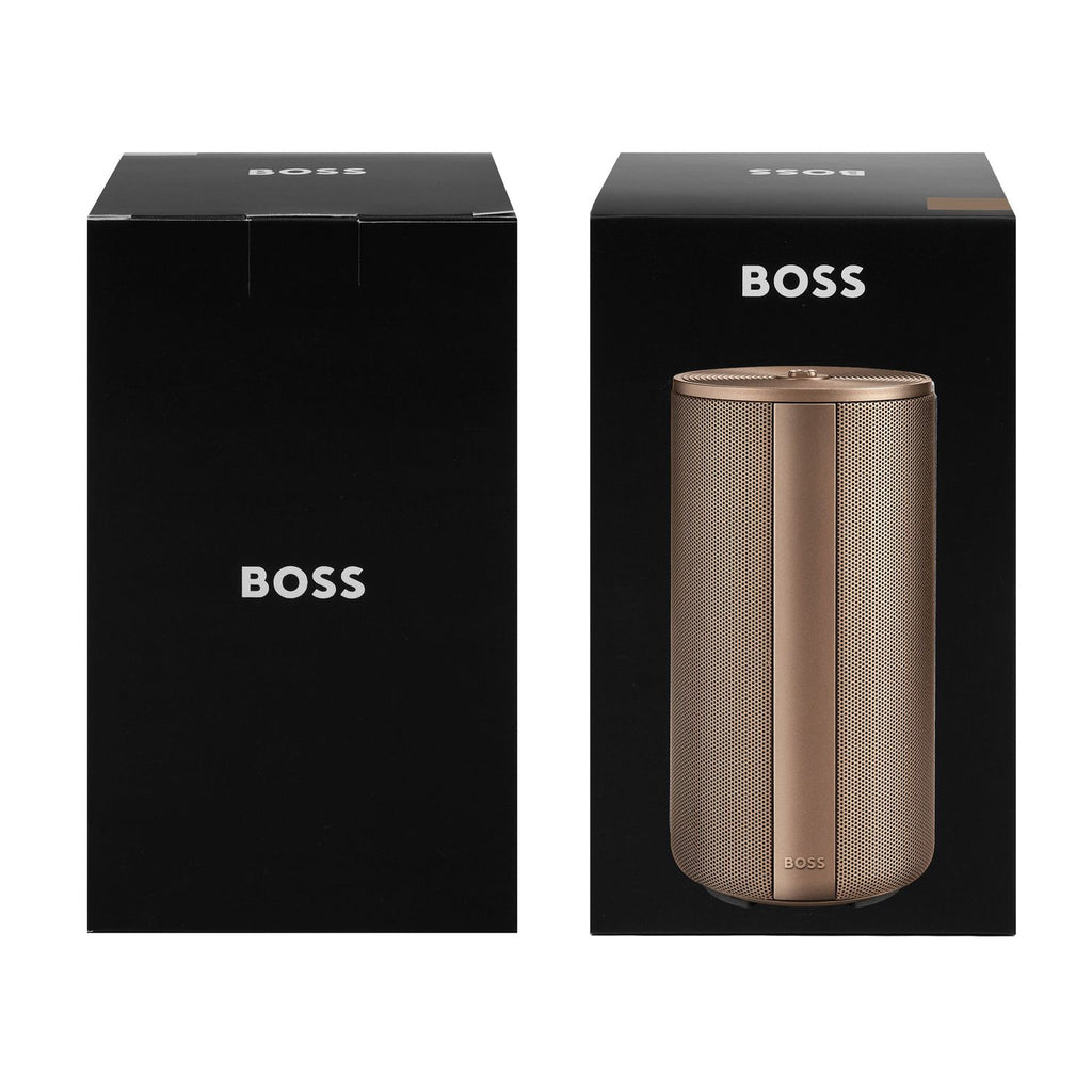 Boss Enceinte sans fil Elemental HAC615X