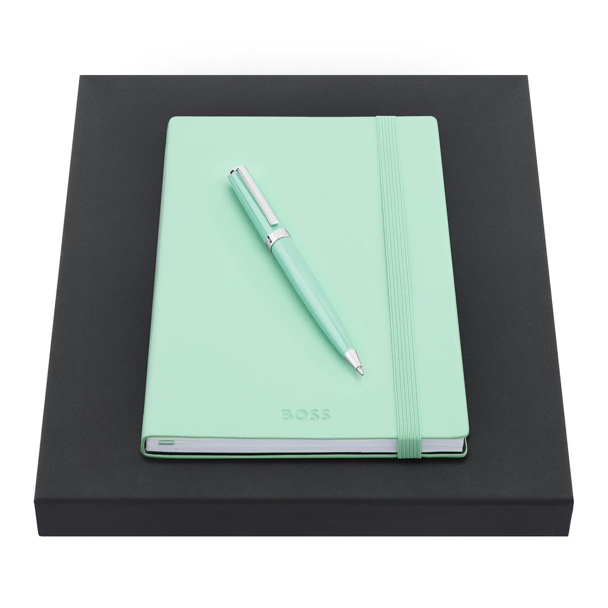 Boss Coffret Gear Icon HPBH422T