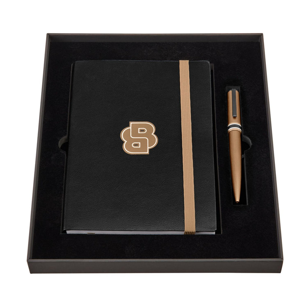 Boss Coffret Arche Brushed Ring HPDD612A