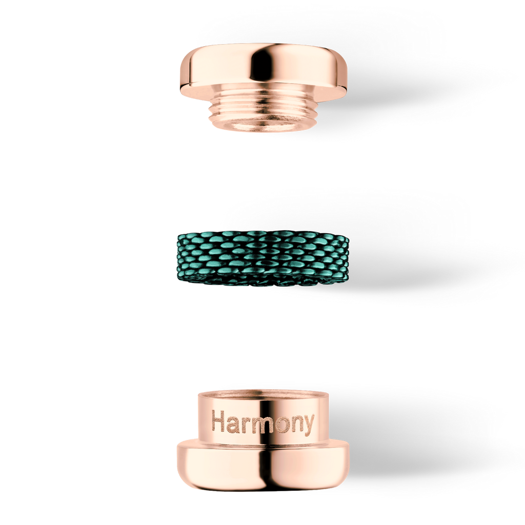 Bering Charm Arctic Symphony HARMONY-1