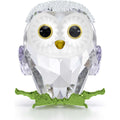 Swarovski Figurine Idyllia Bébé Chouette 5684483