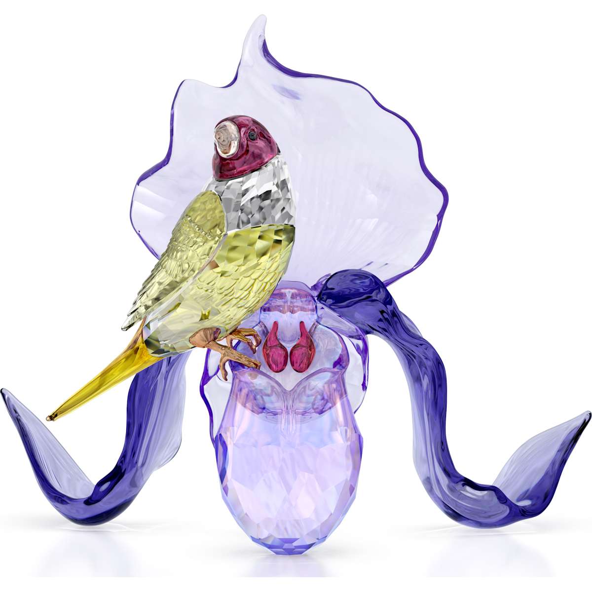 Swarovski Figurine Idyllia Diamant de Gould et Orchidée 5675211