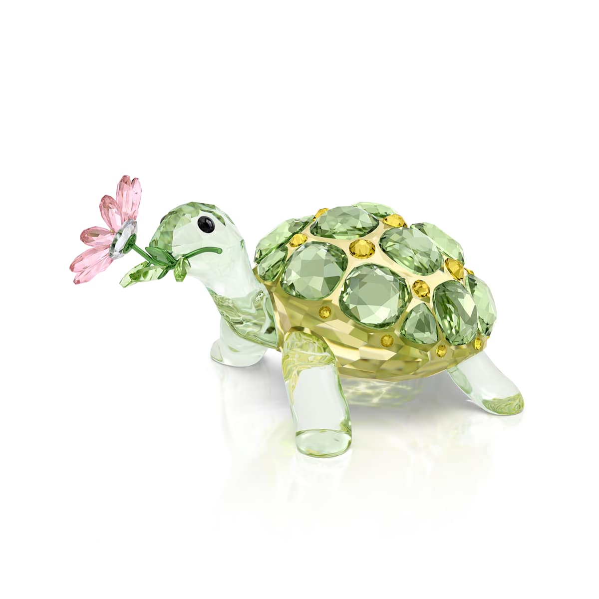 Swarovski Figurine Idyllia Tortue et Marguerite 5721542