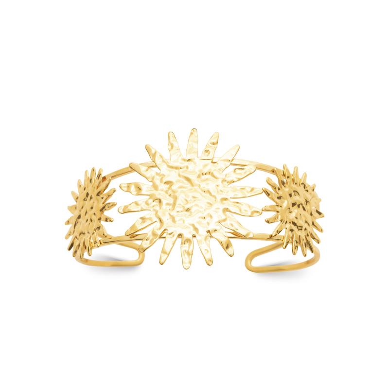 Izee Collier acier doré 312240