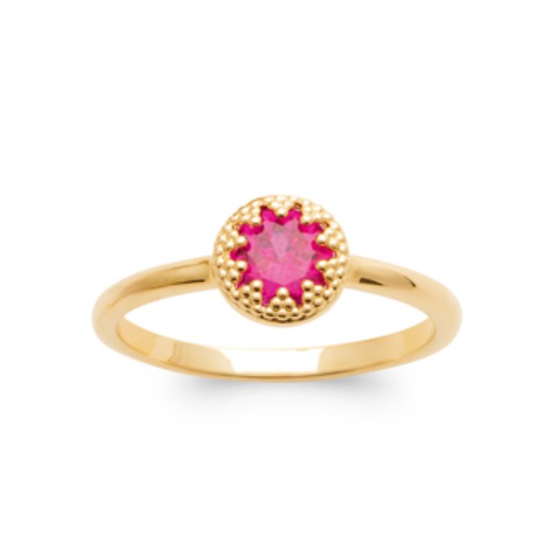 Coque de Nacre Bague plaqué or 2999220