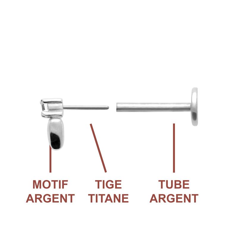 Coque de Nacre Piercing argent 13074210
