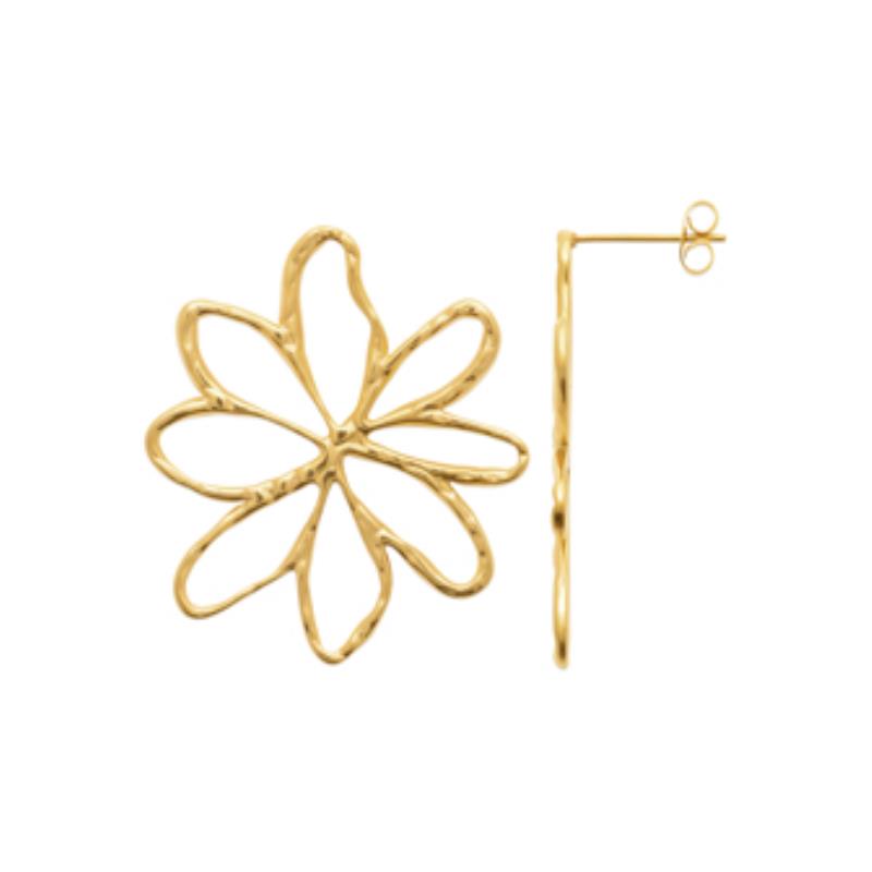 Izee Boucles d'oreilles acier doré 3117409