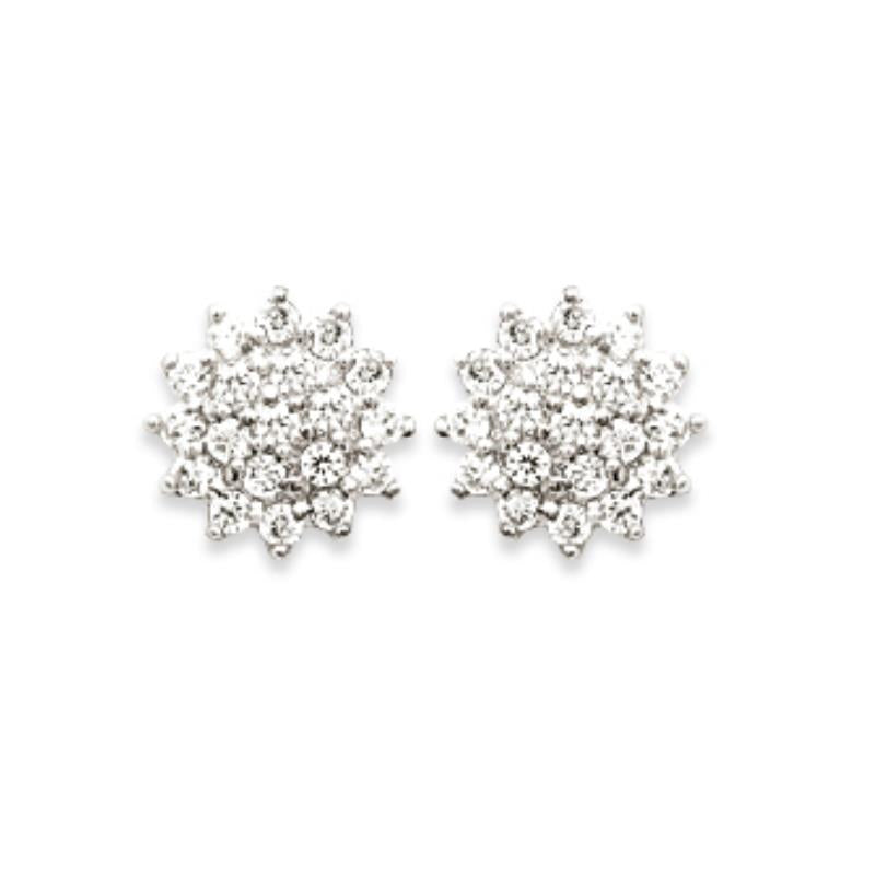 Coque de Nacre Puces d'oreilles plaqué or 2320911