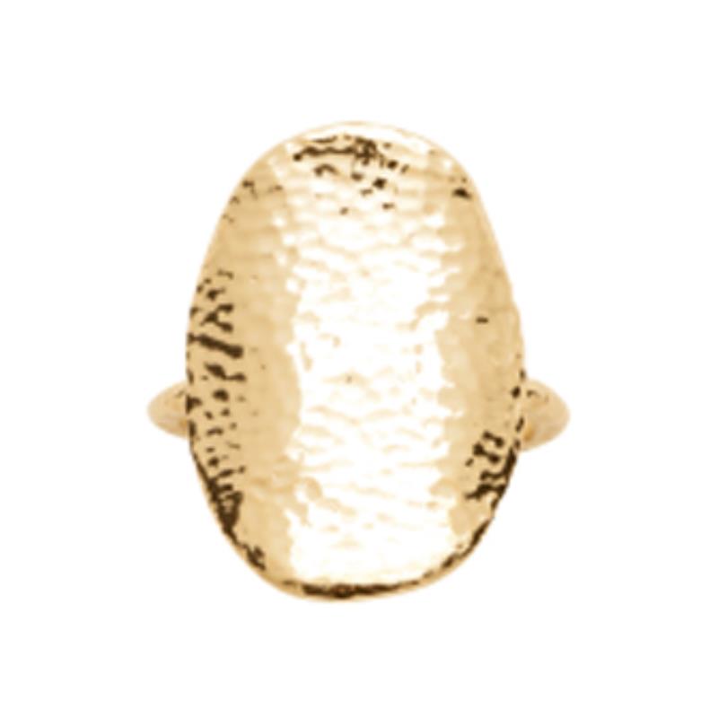 Coque de Nacre Bague plaqué or 2976400