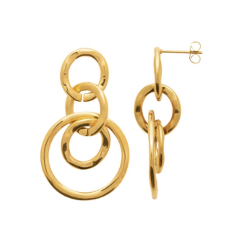 Izee Boucles d'oreilles acier doré 3116509