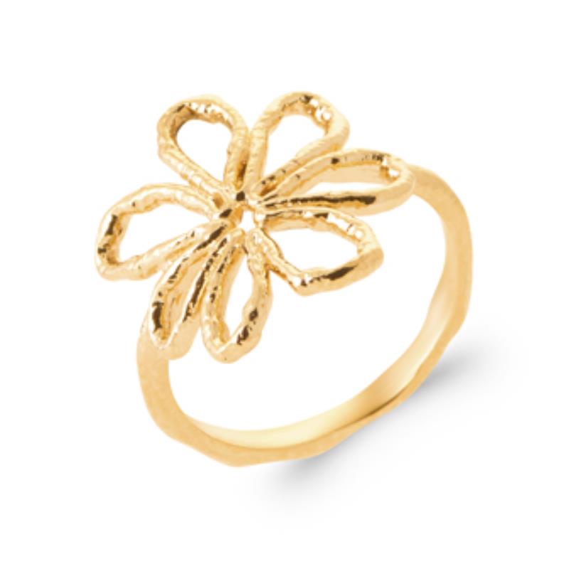 Coque de Nacre Bague plaqué or 2992700