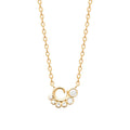 Coque de Nacre Collier plaqué or 974306