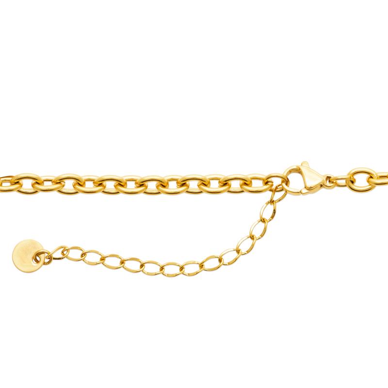 Coque de Nacre Collier acier doré 312311