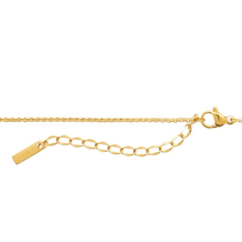 Coque de Nacre Collier acier doré 312309