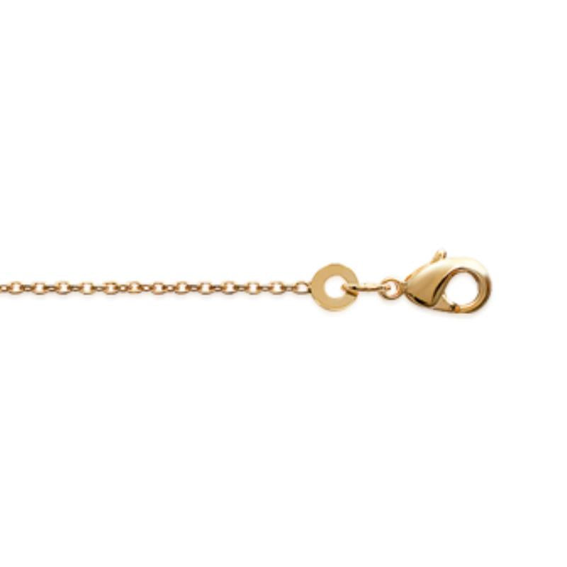 Coque de Nacre Chaîne maille forçat doré 325035