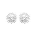 Coque de Nacre Puces d'oreilles argent 13046210