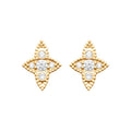 Coque de Nacre Puces d'oreilles plaqué or 23053310
