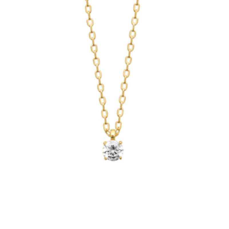 Coque de Nacre Collier plaqué or 973074