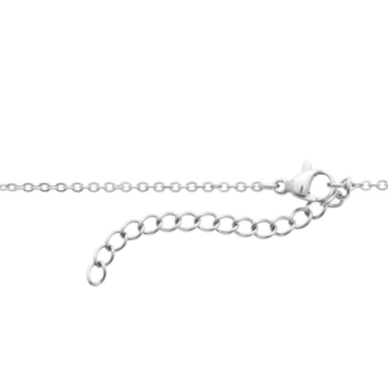 Coque de Nacre Collier acier 312358