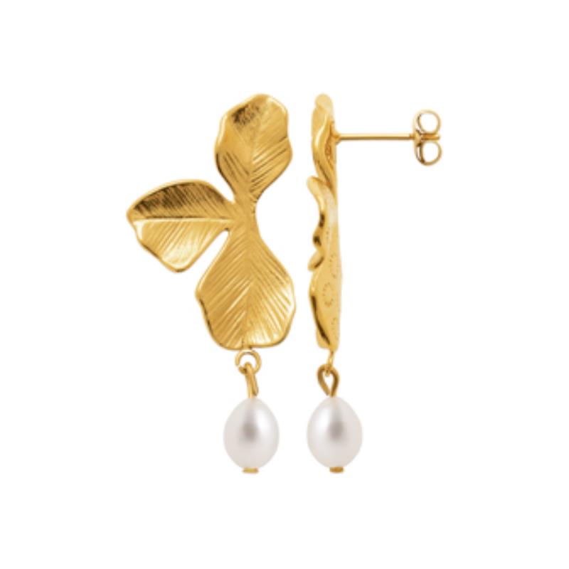 Coque de Nacre Boucles d'oreilles acier doré 3120209