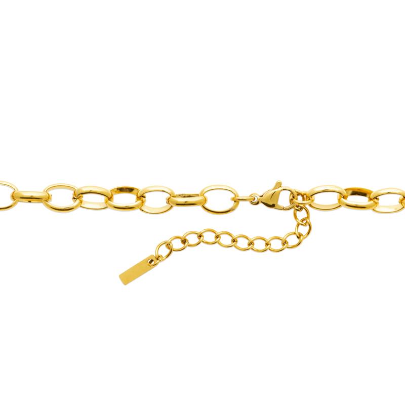 Coque de Nacre Collier acier doré 312319