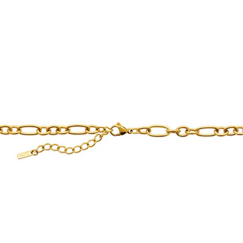 Coque de Nacre Chaîne acier doré 312360