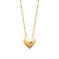 Coque de Nacre Collier plaqué or 974145