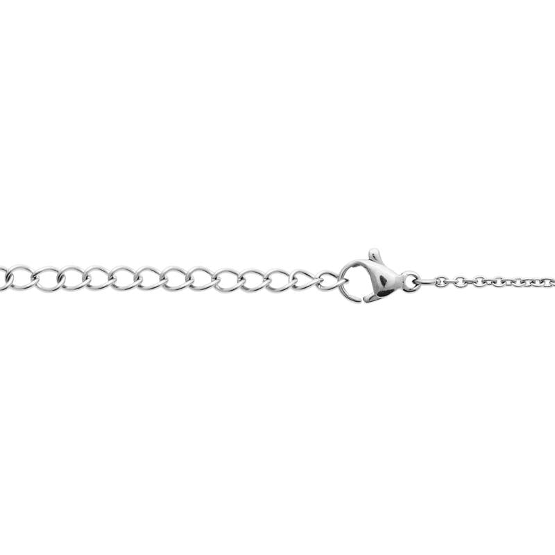 Coque de Nacre Collier acier 312392