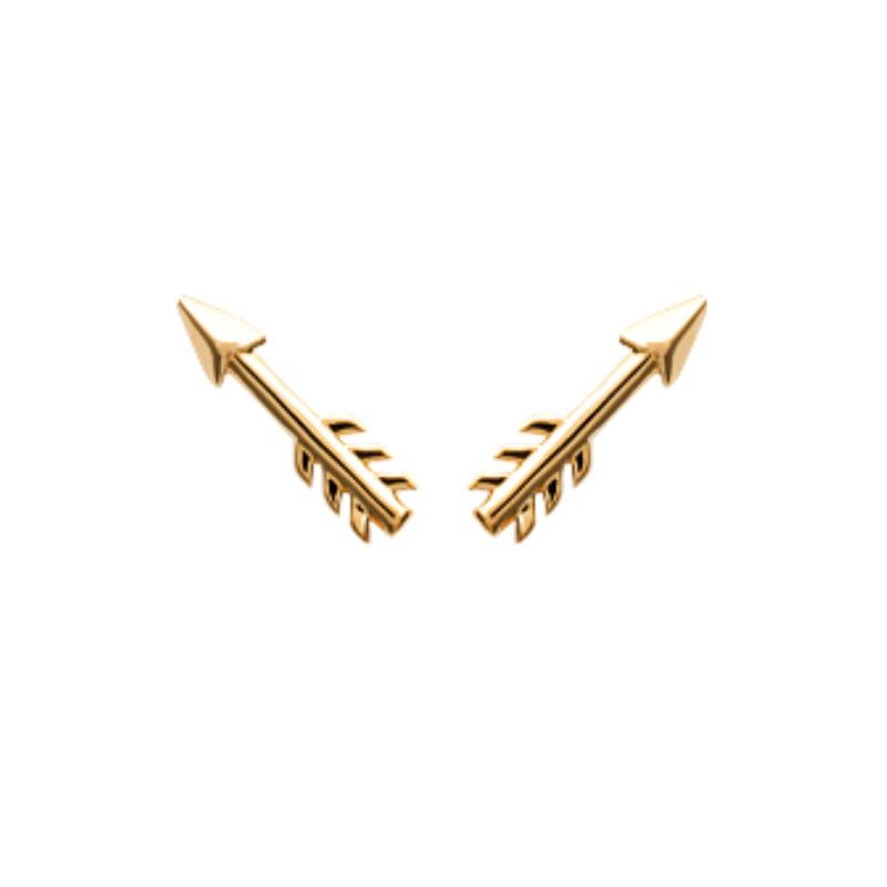 Coque de Nacre Puces d'oreilles plaqué or 2530400