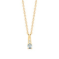 Coque de Nacre Collier plaqué or 974258