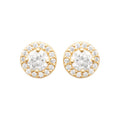 Coque de Nacre Puces d'oreilles plaqué or 23042210
