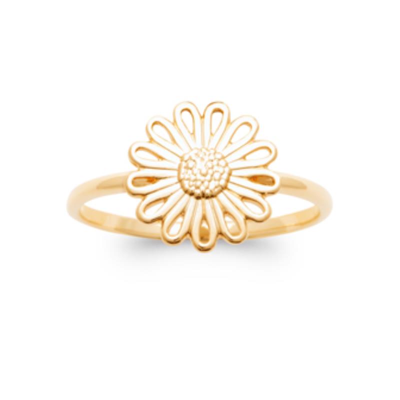 Coque de Nacre Bague plaqué or 2971700